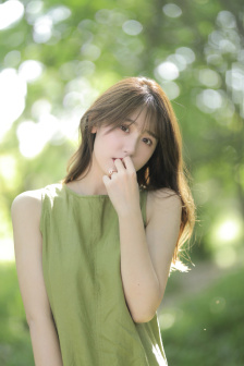决战燕子门